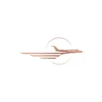 Fast Jet app iOS Icon