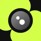 DualCam: Multi-Camera Recorder iOS Icon