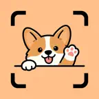 DogBuddy: Dog Translator iOS Icon