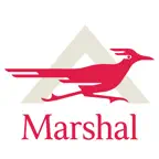 aRoadRunner Marshal iOS Icon