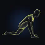 Willow: Posture & Mobility iOS Icon