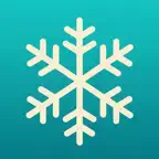 Cold Plunge: Ice Bath Timer iOS Icon