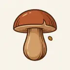MicoAtlas - Mushroom Guide iOS Icon