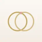 Wedding Film - Photo Filters iOS Icon