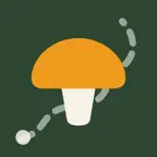 MushTrail: Forest Navigator iOS Icon