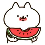 Intense cat stickers Icon