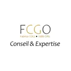 FCGO CONSEIL ET EXPERTISE iOS Icon