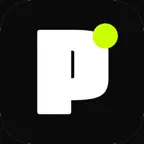 PING: TCG Card Finder & Alerts icon