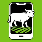 Pesa Boi Icon