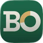 BudgetOnly iOS Icon