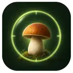 PilzCheck iOS Icon