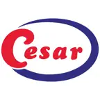 CESAR SPA iOS Icon