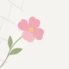 Wallflower - Boring Reader iOS Icon