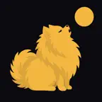NOTT: Salir de fiesta y planes icon