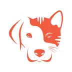 HamHamCar iOS Icon