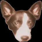 Bandit's Naughty Dog Adventure iOS Icon