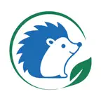Misssy iOS Icon