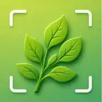 Tree Leaf Identifier & Scanner iOS Icon