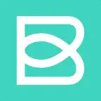 Bleam icon