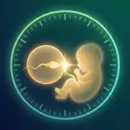 Andro — IVF Companion iOS Icon