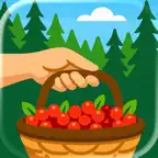 BerryMate iOS Icon