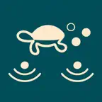 TurtleWiz: Calming Taps iOS Icon