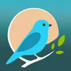 Bunting - Birding Companion iOS Icon