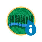 miRiego Bajo Valdavia iOS Icon