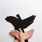 Shadow Puppets: Kids Play iOS Icon