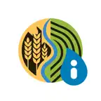 miRiego Campo de Ledesma iOS Icon