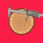 Кубатурник - леса/доски iOS Icon