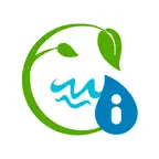 miRiego Macias Picavea iOS Icon