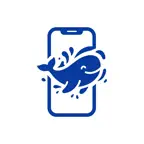 掌中鲸 icon