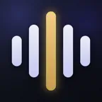 VerbaManent PRO iOS Icon