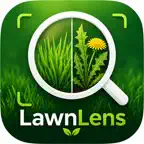 Grass Identifier AI - LawnLens iOS Icon
