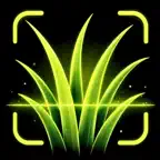 Grass Identifier: AI Weed Scan iOS Icon