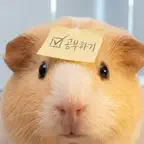 기니어스 icon
