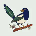 명당까치 키코 iOS Icon