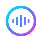 Vozelle iOS Icon