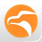 Falcon Patients - DICOM Viewer iOS Icon