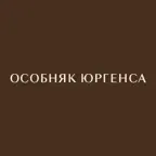 О. Юргенса iOS Icon