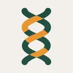 Reloom: Desk Stretch & Posture iOS Icon
