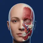 Anatomy Recall: 3D Human Body icon