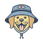Pawradise Park iOS Icon