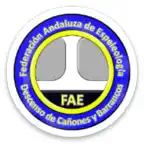 FAE-AP Icon