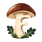 FungoApp icon