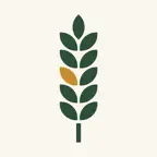 GlutenTrace: Gluten Scanner iOS Icon