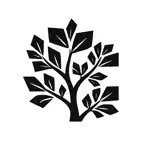 Pithy: Daily Book Summaries iOS Icon