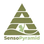 SensoPyramid iOS Icon