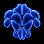 BackMaxx: Back Muscle Builder iOS Icon